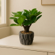 Artificial Plant